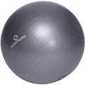 Budo-Nord Fitnessboll Grå 55 cm