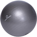 Budo-Nord Fitnessboll Grå 55 cm