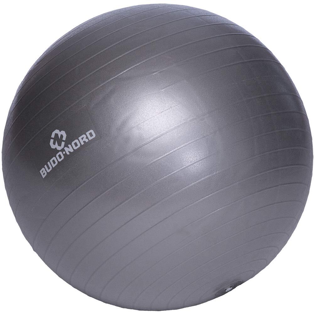 Budo-Nord Fitnessboll Grå 55 cm