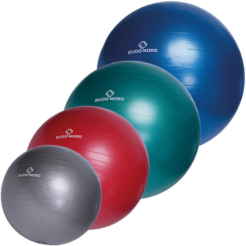 Budo-Nord Fitnessboll Grå 55 cm - gruppbild