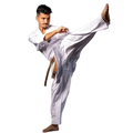Budo-Nord Karatedräkt Kyokushin Jissen