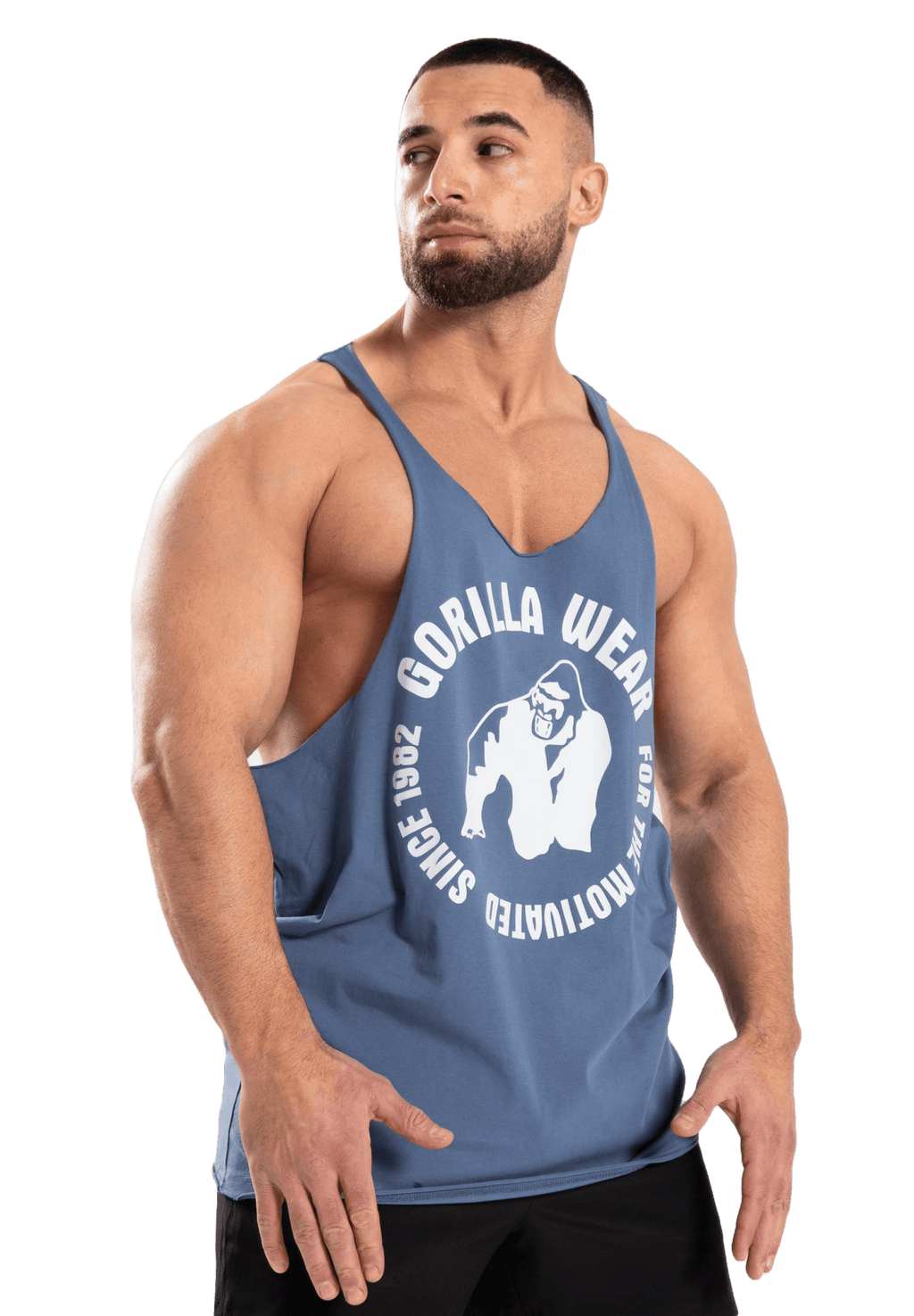 Gorilla Wear Melrose Stringer - Coronet Blue - Gorilla Wear | Kraft & Kontroll