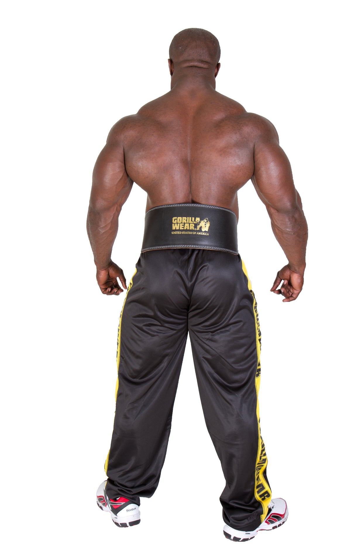 Gorilla Wear 6 Inch Padded Leather Belt - Svart/Guld
