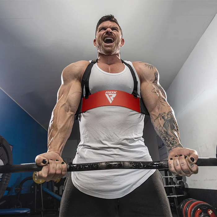 RDX T2 Plus Arm Blaster for Bicep Curl