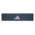 Resistance Band - Heavy - Legacy Blue